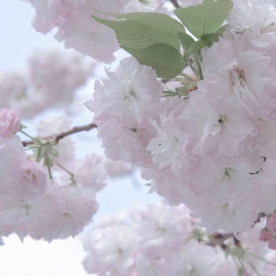 Furry色彩搭配技巧FurryQQ群